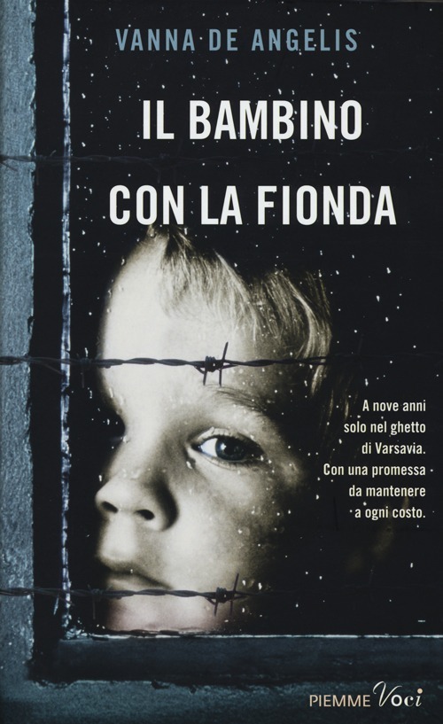 Copertina libro Bambino con la fionda