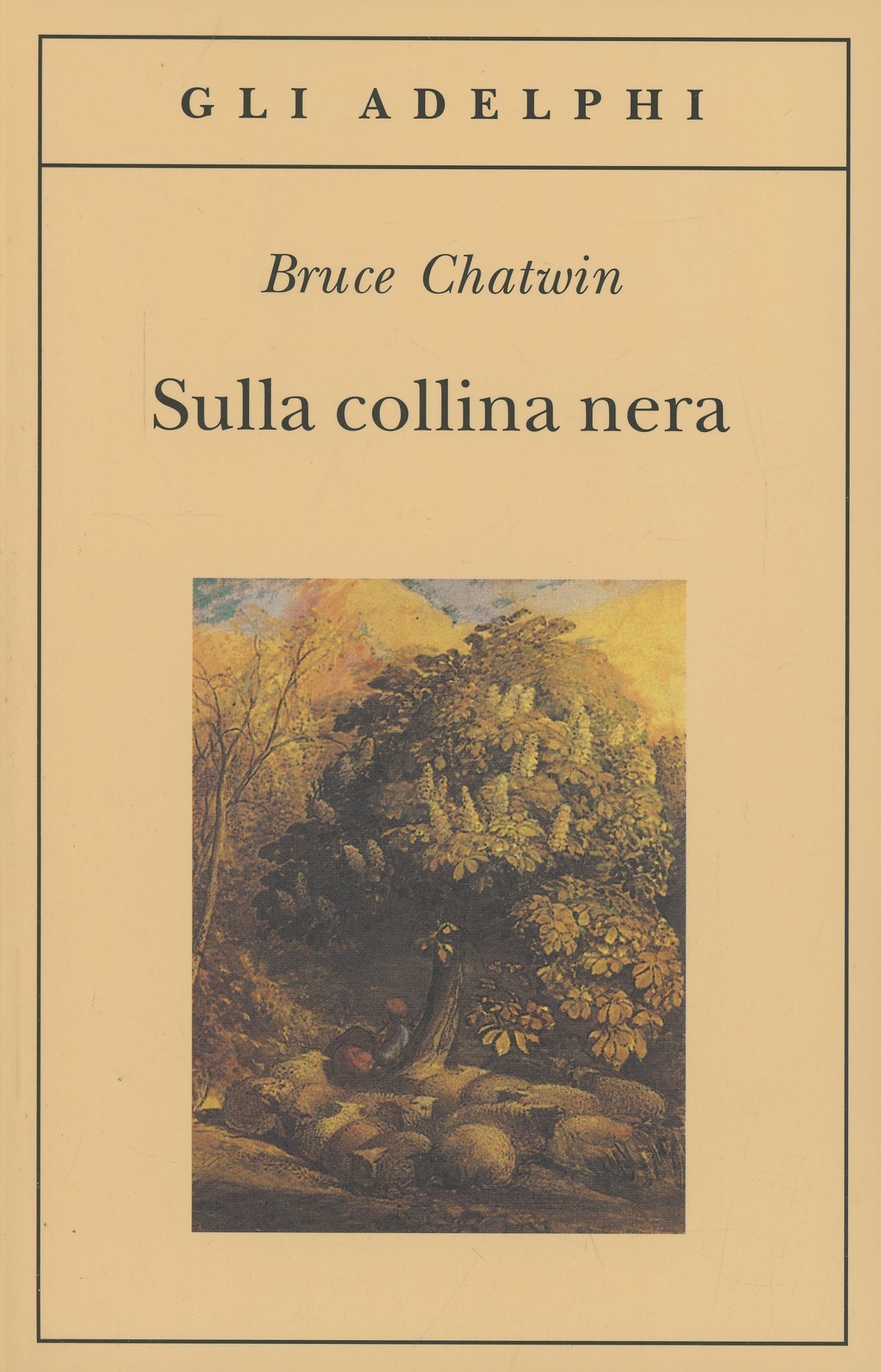 Copertina libro Sulla collina nera