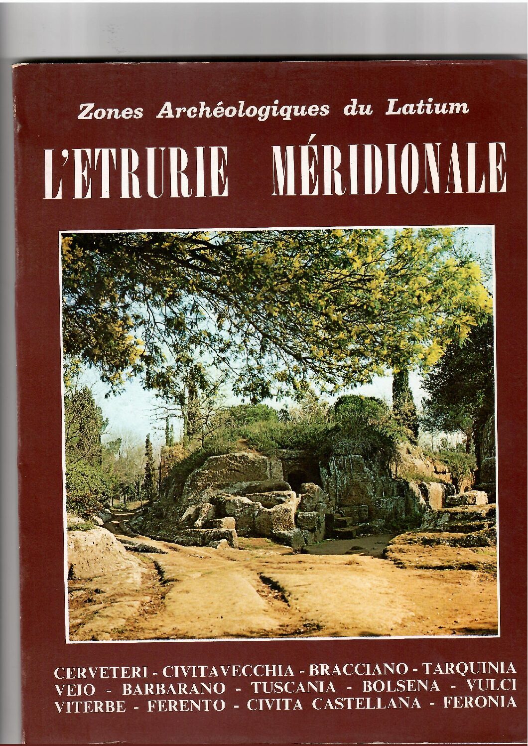 Copertina libro Etrurie Meridionale