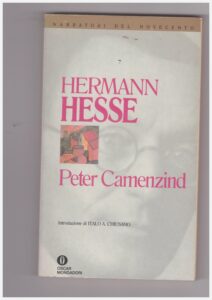 Copertina libro Peter Camenzind