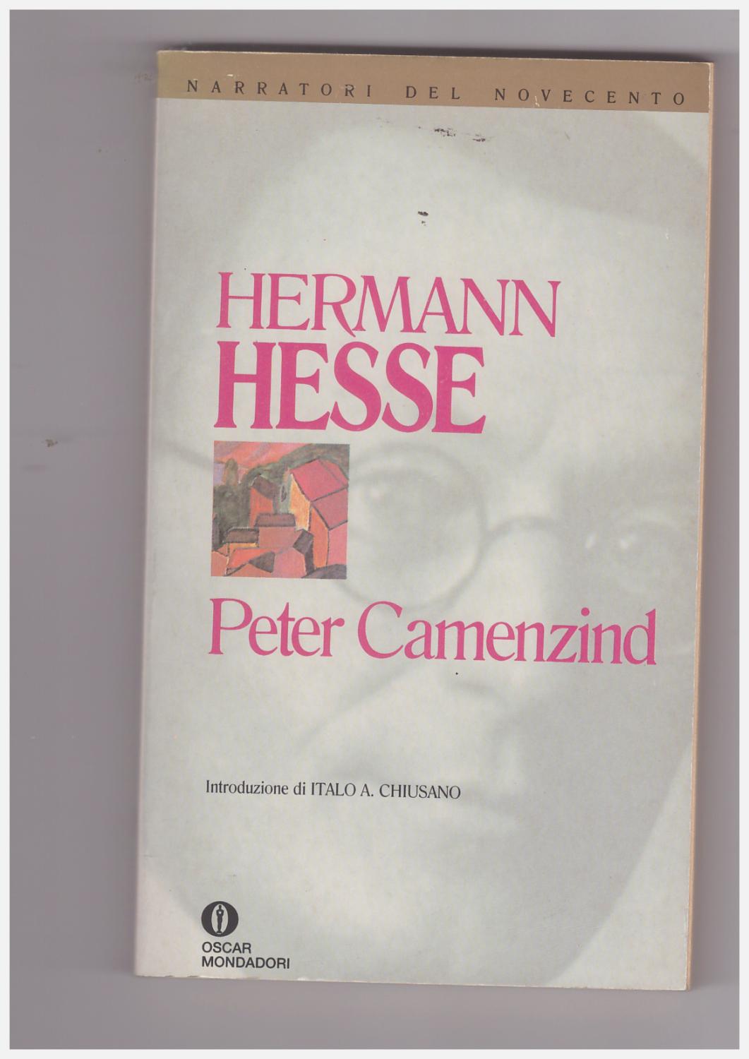 Copertina libro Peter Camenzind