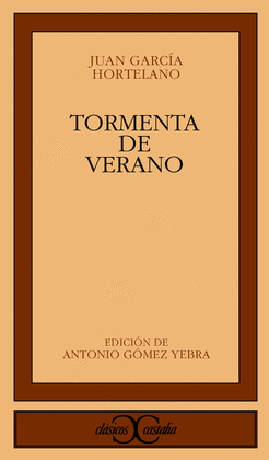 Copertina libro Tormenta de verano