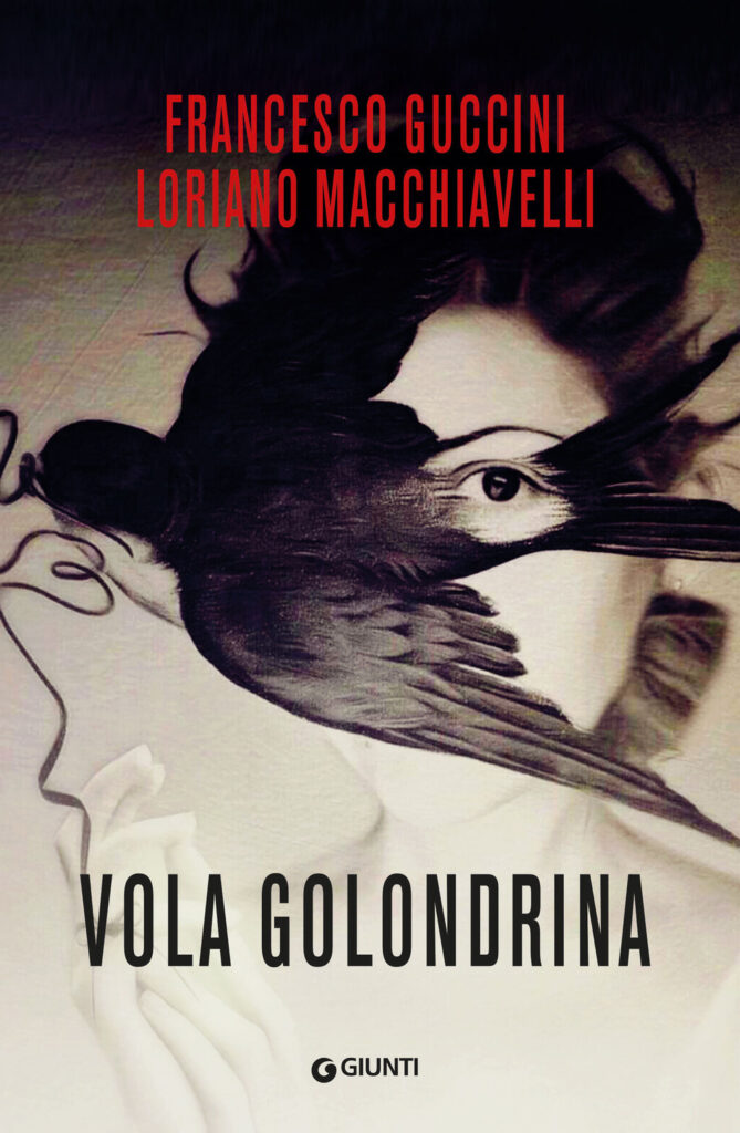 Copertina libro Vola la golondrina