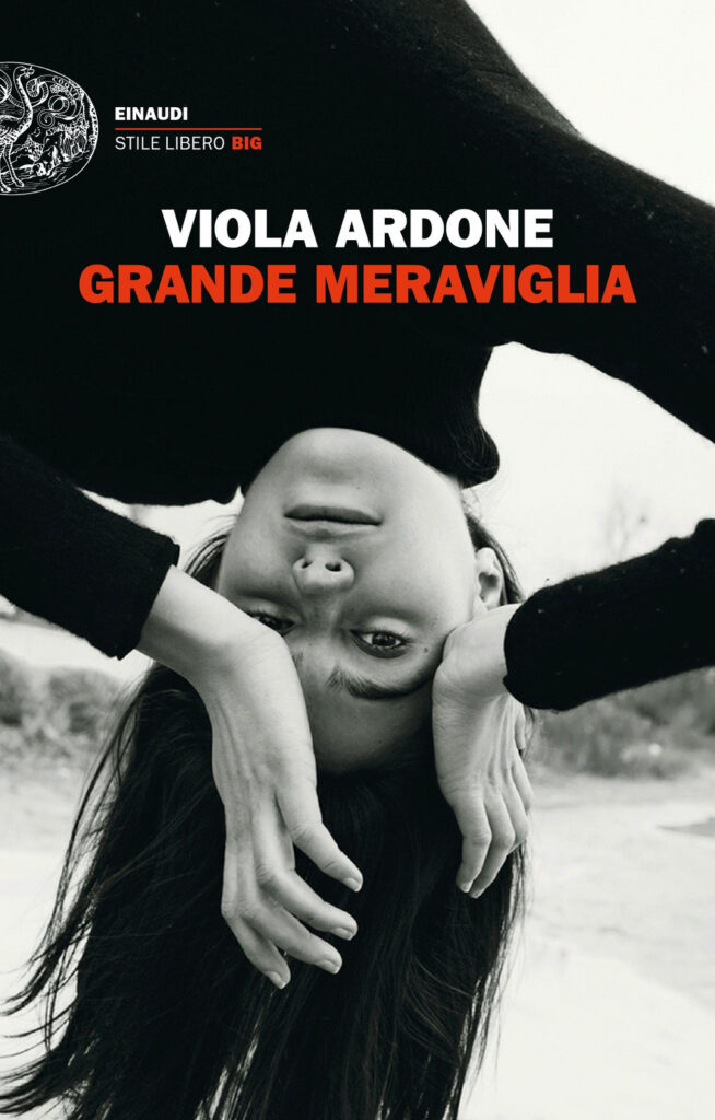 Copertina libro Grande meraviglia