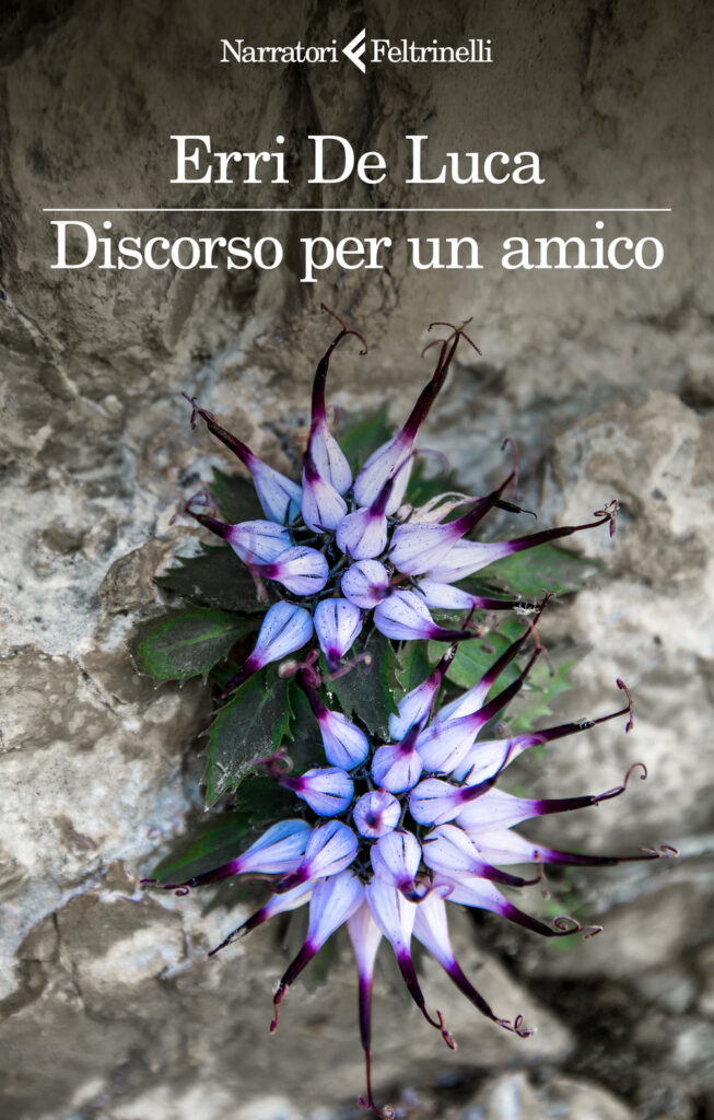 Copertina libro Discorso per un amico